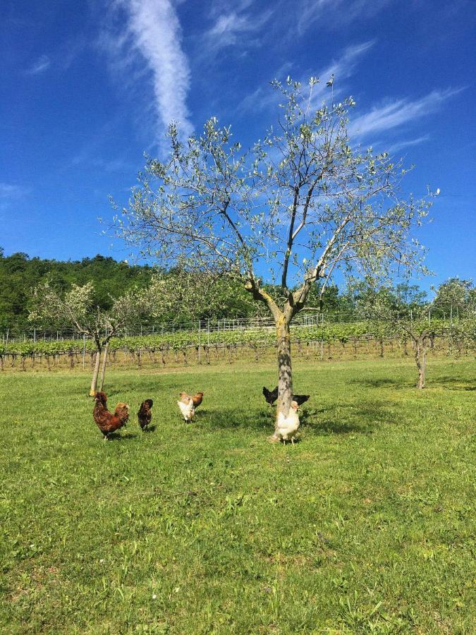 Agriturismo Ca' Cristane Rivoli Veronese Ngoại thất bức ảnh