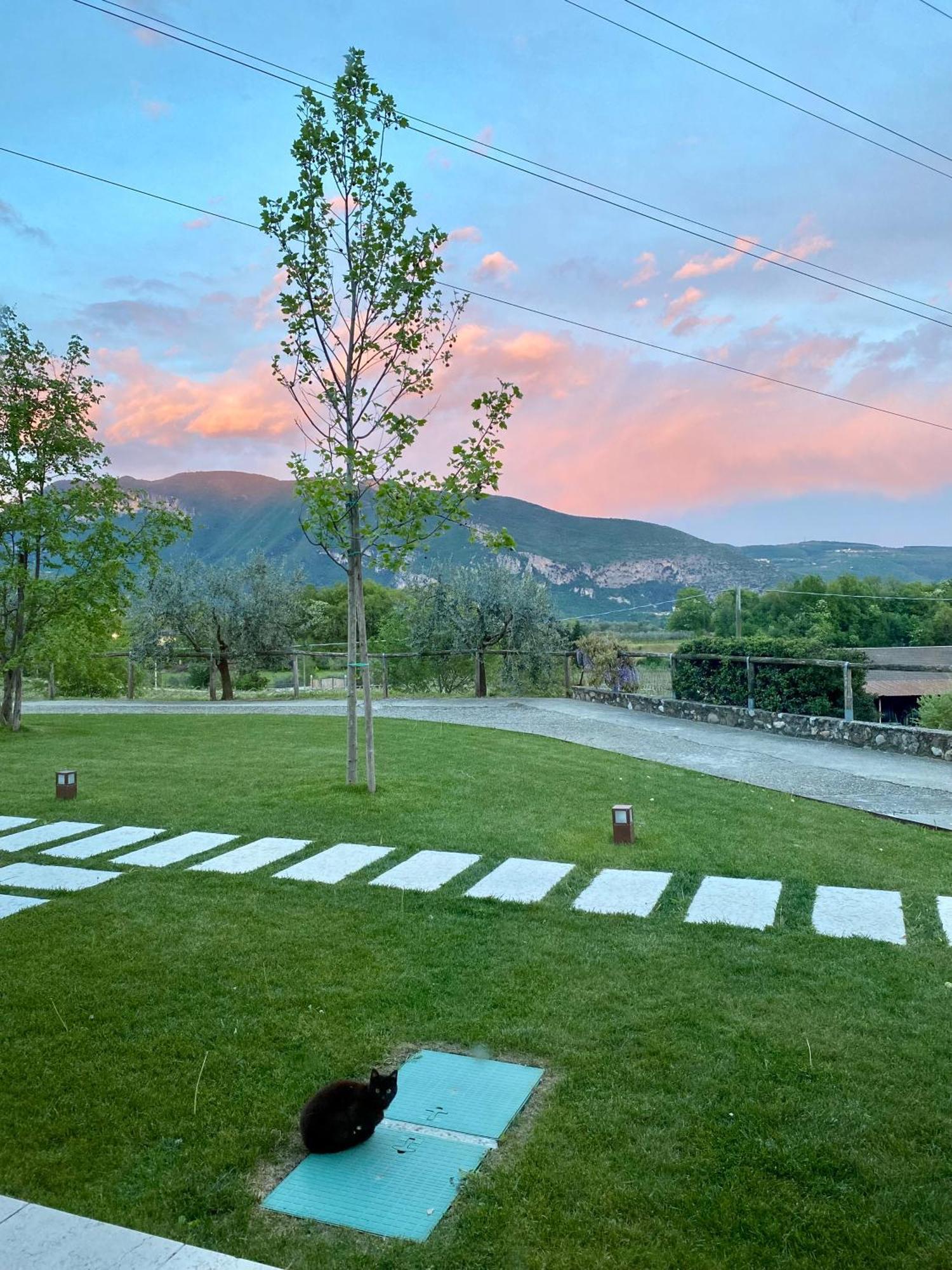 Agriturismo Ca' Cristane Rivoli Veronese Ngoại thất bức ảnh