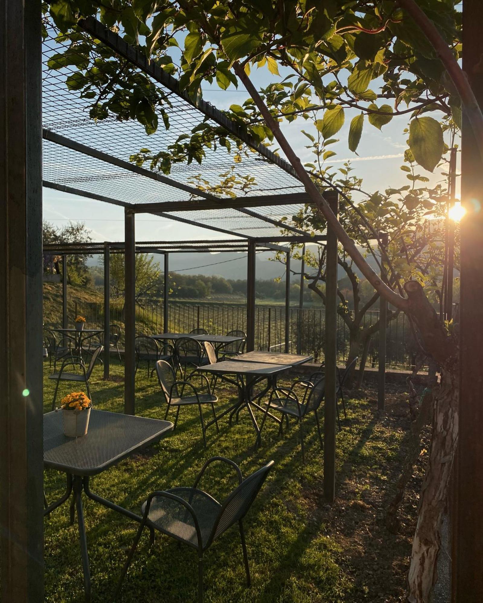 Agriturismo Ca' Cristane Rivoli Veronese Ngoại thất bức ảnh